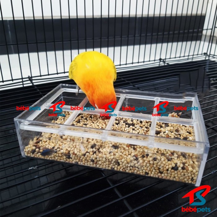 CEPUK RAM WADAH PAKAN BURUNG PLASTIK TRANSPARAN