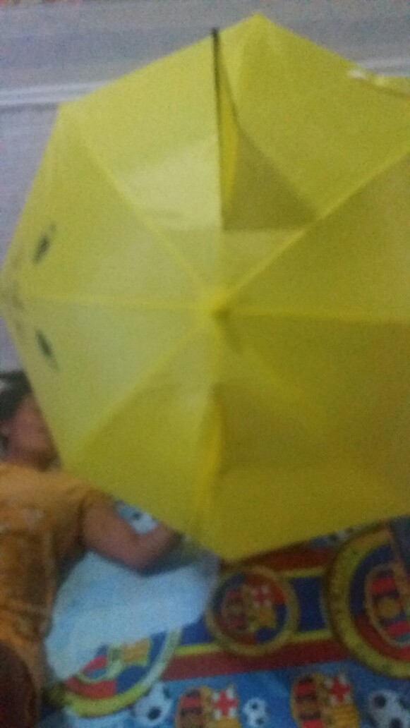 Payung Anak [ada Kuping] Model Hewan Warna-warni Lucu