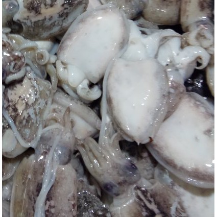 

Balakutak 500 gram | FREE minimal belanja 69rb CEK DESKRIPSI