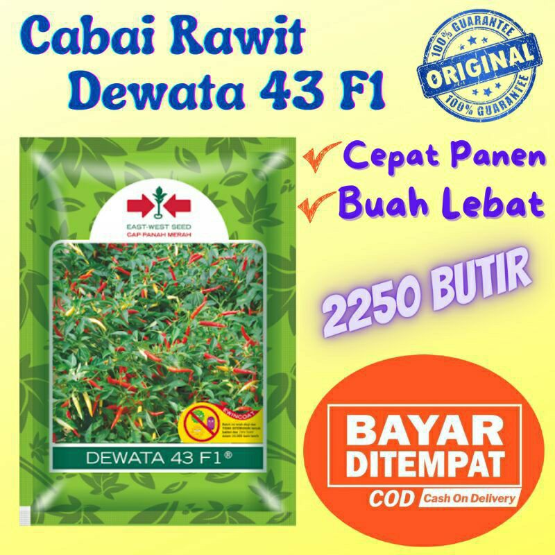Benih Cabai Dewata 43 F1 2250 butir - Bibit Cabe Rawit Cap Panah Merah