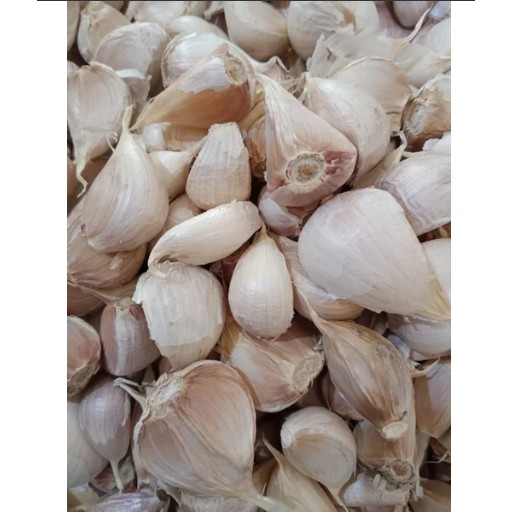 Bawang Putih Kating Kupas 1kg -07