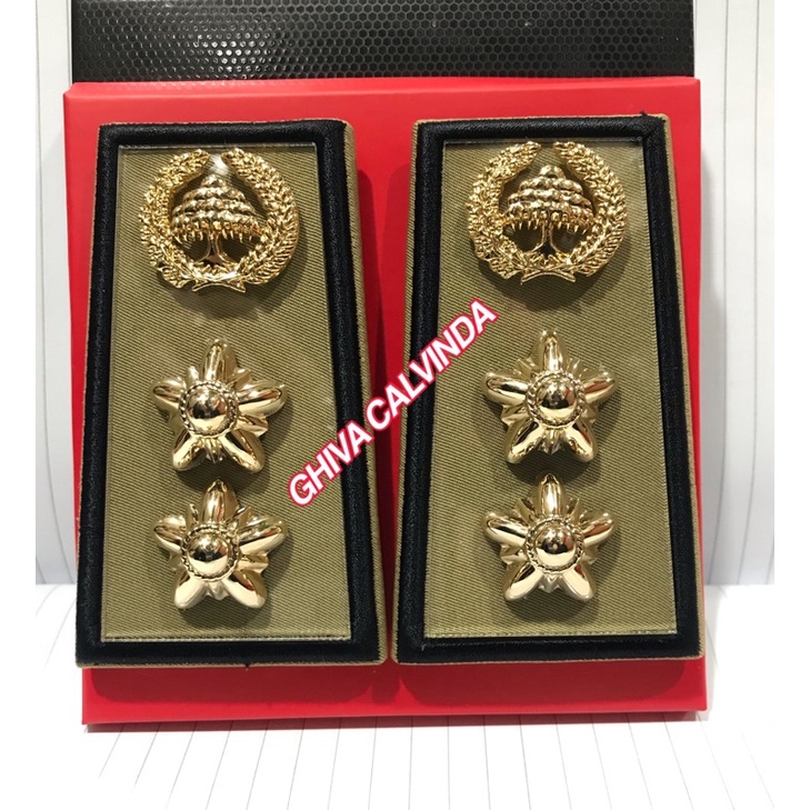 PANGKAT PNS BENGKULU GOL 4B