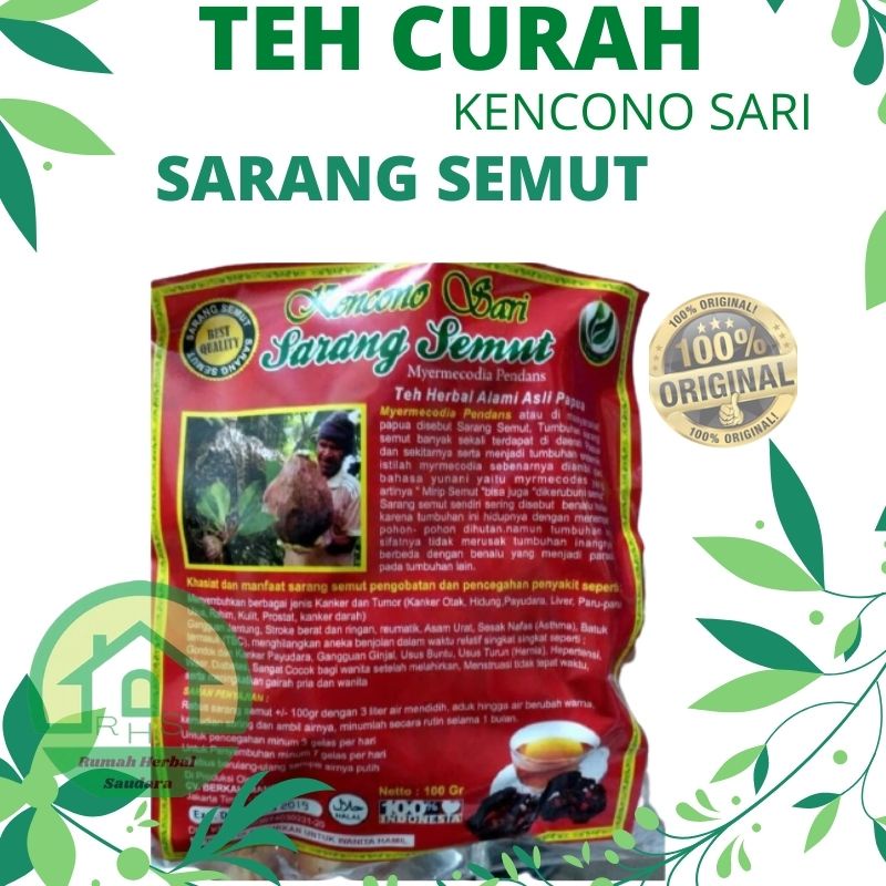 

teh sarang semut papua asli original obat hernal alami%