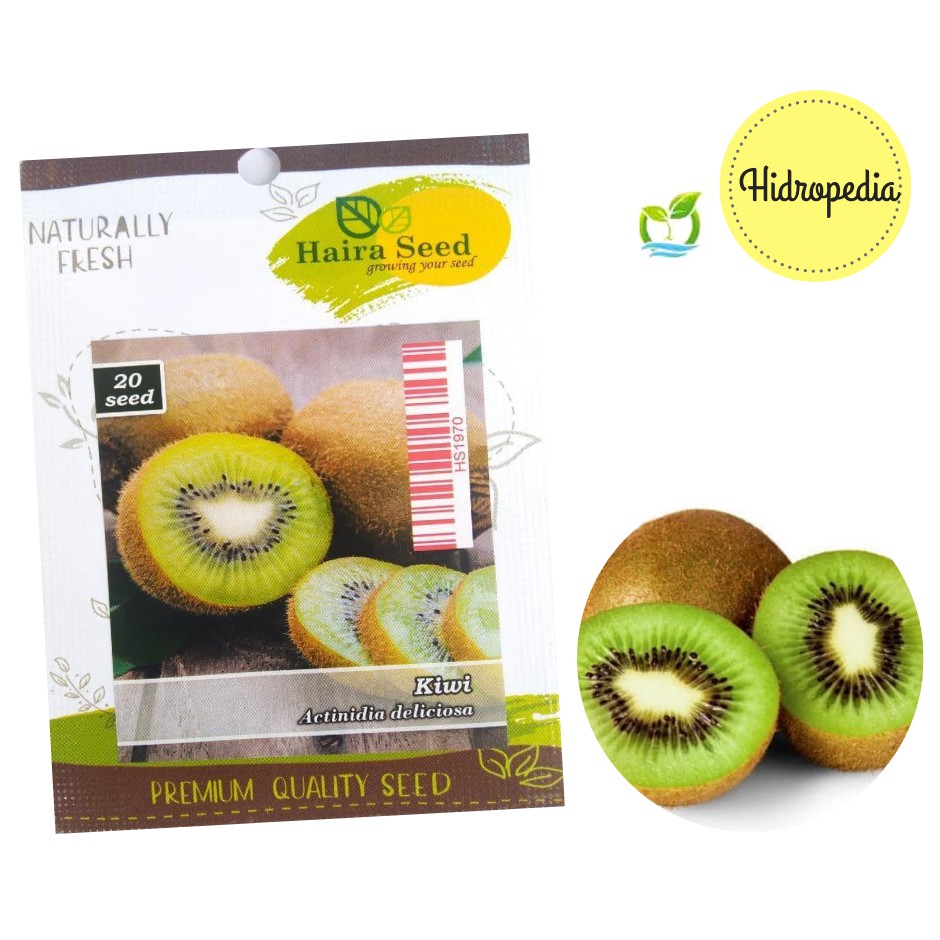 Benih Buah Kiwi (Isi 20) - Haira Seed Berkualitas | Shopee