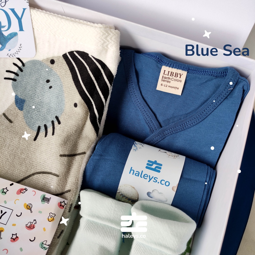 Haleys.co | Baby Hampers Blue Sea Little Terry | Paket Kado Baby Boy Girl 0-12 month | Kado Lahiran Premium | Baby Gift Box |  Kado Bayi | Hampers Baby Boy Girl | Hampers Bayi Laki Laki