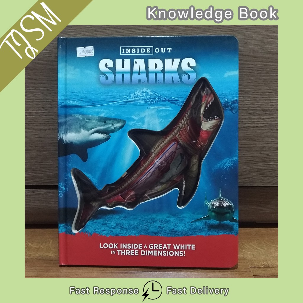 BBW INSIDE OUT SHARK INSIDE OUT T-REX BBW BOOK ACTIVITY BOOK BUKU PENGETAHUAN ANAK ANAK BUKU IMPOR