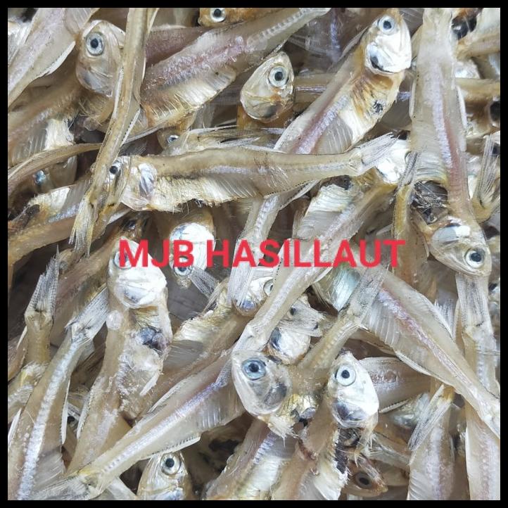 

Teri Tawar, Teri Tawar Padang, Teri Besar, Teri Super, 1Kg