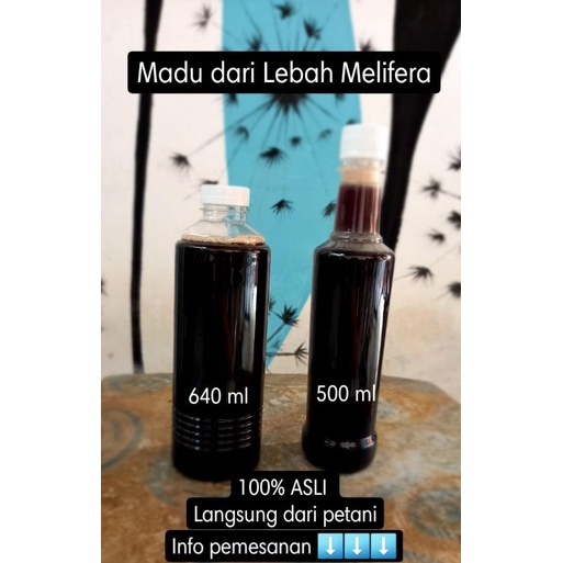 

madu asli 500 ml