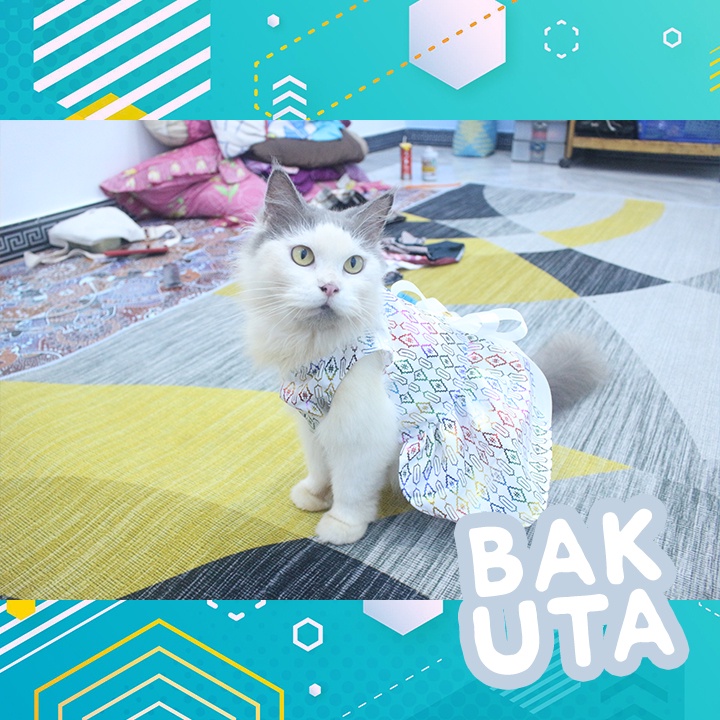 Dress Pelangi dasar putih terbaru baju kucing dan anjing / baju kucing murah size S-XL