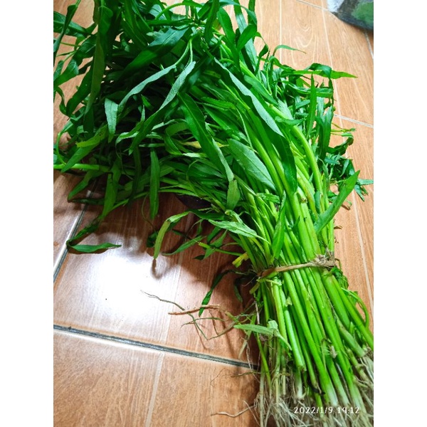

SayurKangkung