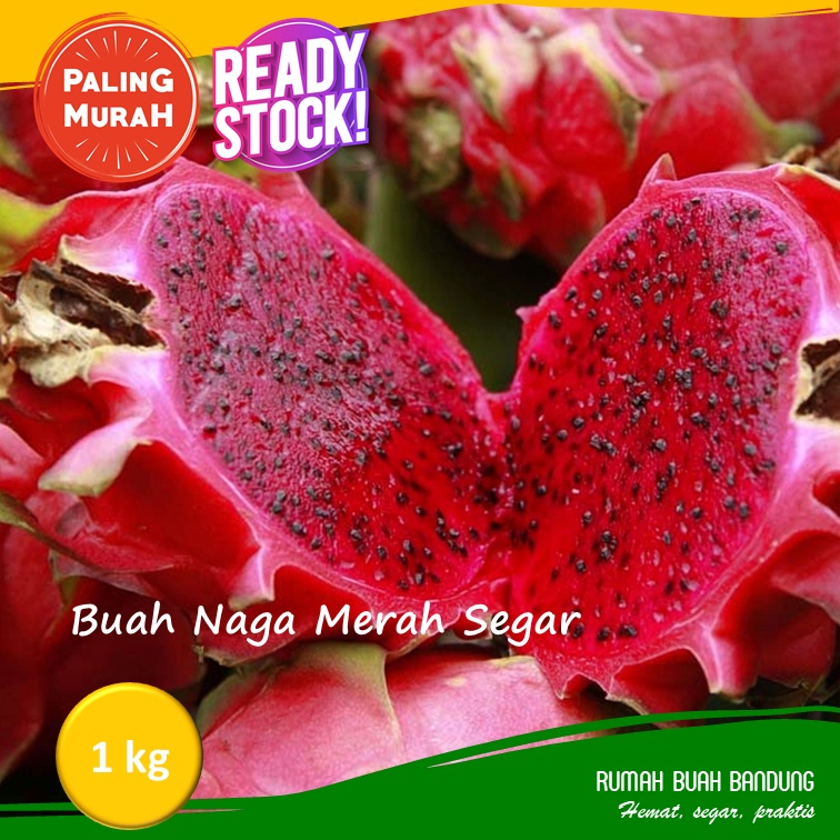 Buah Naga Merah Segar Manis 1 kg