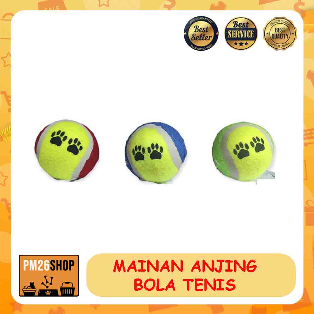 MAINAN ANJING BOLA TENIS WARNA