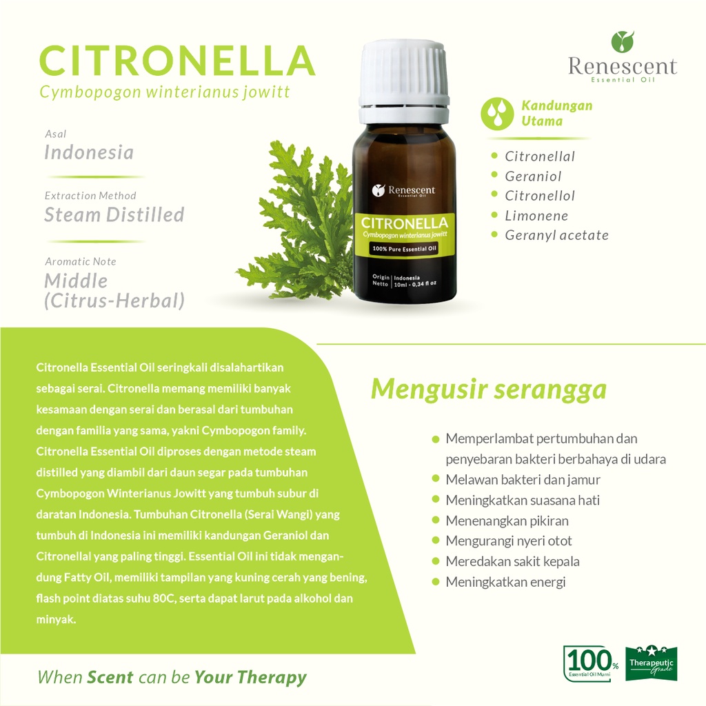 Renescent Citronella Essential Oil 10ml Diffuser Aromatherapy Humidifier Air Purifier Lilin Aromaterapi