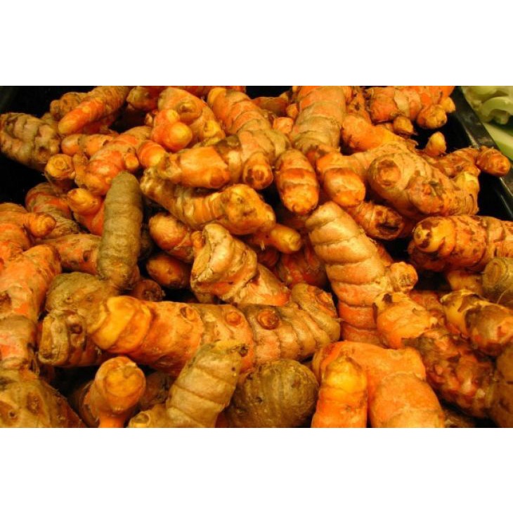 

Kunyit Organik 1kg