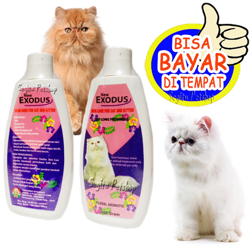 BEDAK KUCING ANTI JAMUR GATAL BAKTERI KITTEN EXODUS SKIN CARE