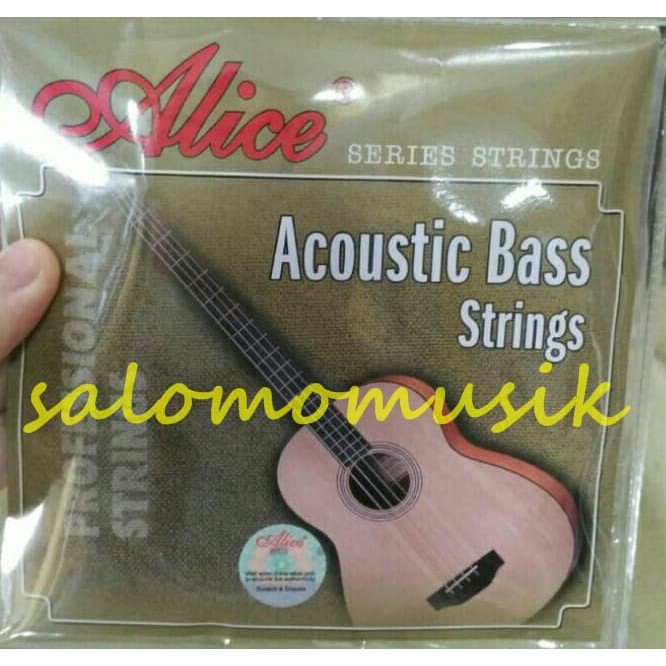Termurah senar bass akustik merk alice original