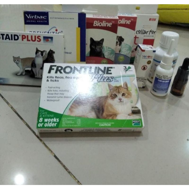 Obat tetes kutu FRONTLINE plus cat dewasa &amp; kitten, tetes kutu 1 tube termurah