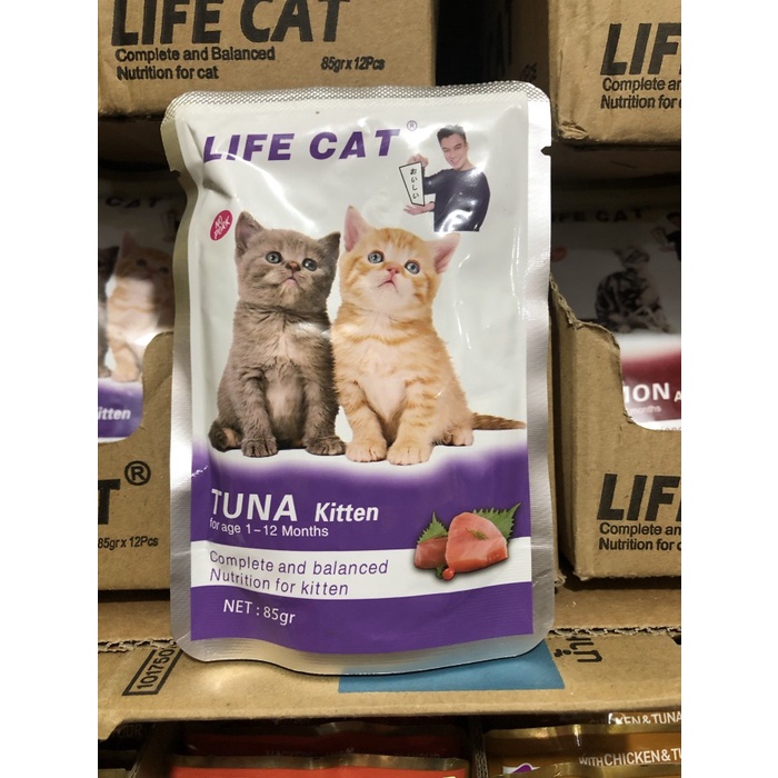 

Aman Lifecat Pouch Cat Per Box Isi 24 All Varian Limited