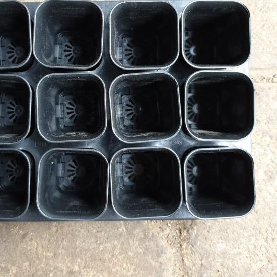 ☎ TRAY POT KOTAK 5 cm / TRYPOT KOTAK 5 cm ( DENGAN POT KOTAK 5 12 BH) ❀