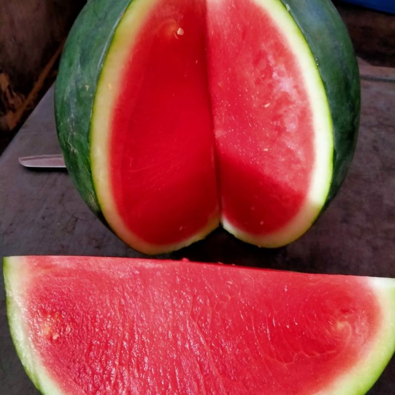 Semangka merah non biji 1 buah