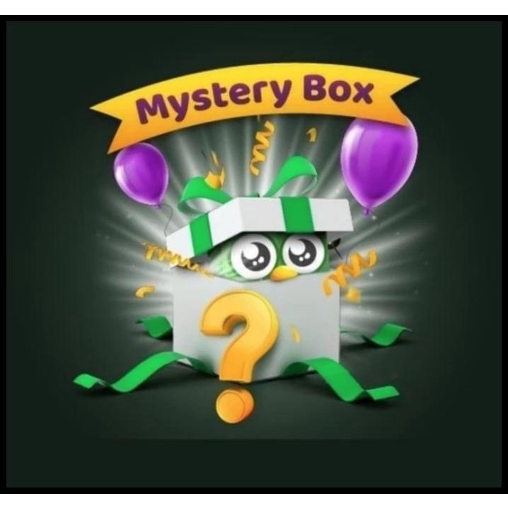 Mystery Box Biden Original - Biden Jam Tangan