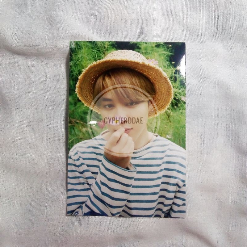 photocard pc bts 4x6 random photo jimin season greetings 2021 sg21