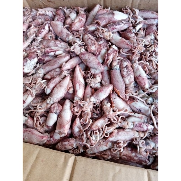 

Cumi Asin 500gram , 1000gram