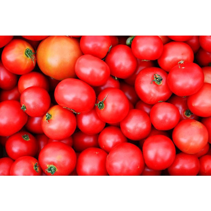 

Tomat Merah Segar