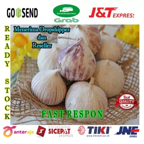 

Bawang Putih Tunggal - Lanang Ukuran Jumbo Premium 500Gram