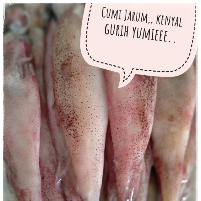 

Cumi Jarum Grade A