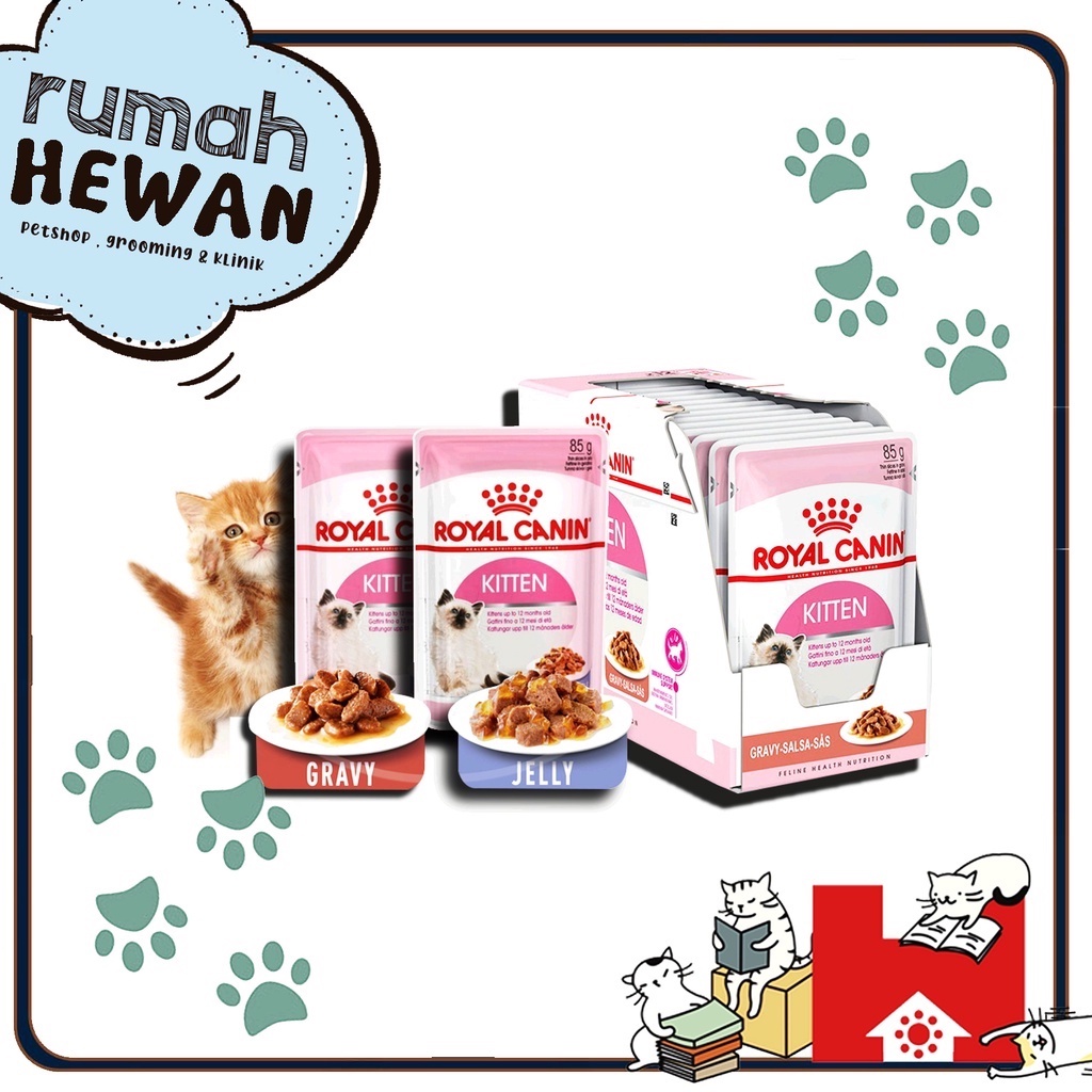 Royal Canin Kitten Second Age Wet Food 85gr Makanan Anak Kucing Basah RC Instinctive Jelly Gravy 85 gr