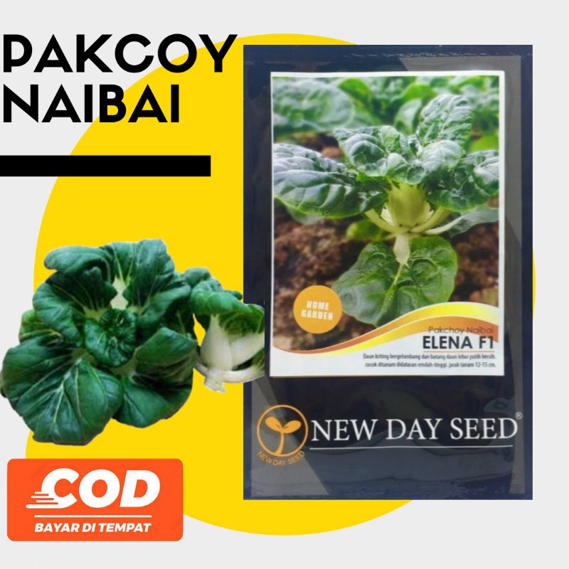 BENIH PAKCOY NAIBAI ELENA