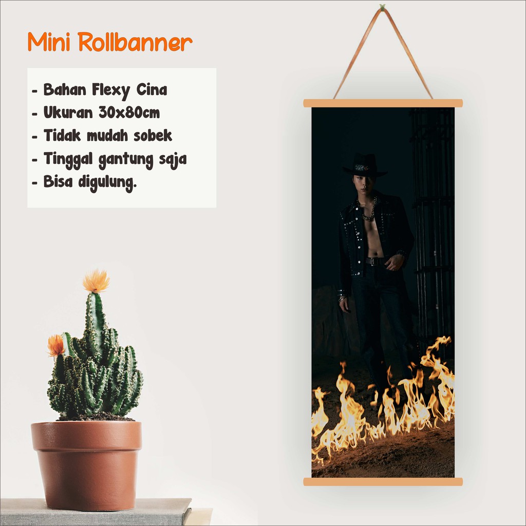 Johnny Mini Roll Banner