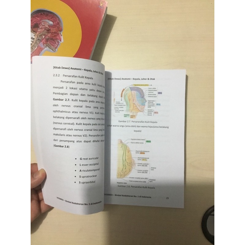Buku kedokteran Kitab Dewa Anatomi fisiologi Kepala, Leher, dan Otak Original