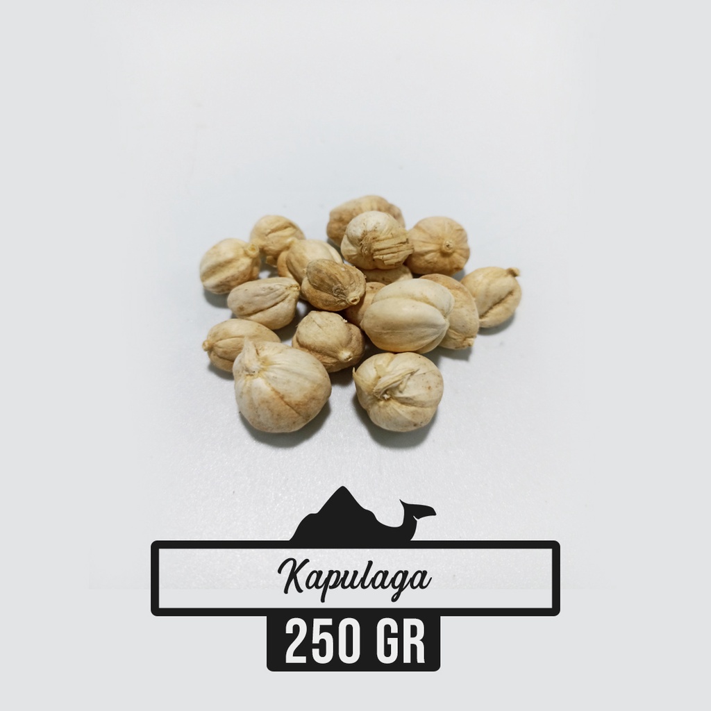 

Kapulaga 250gr 100gr Kapolaga Kering Alami Tanpa Pemutih