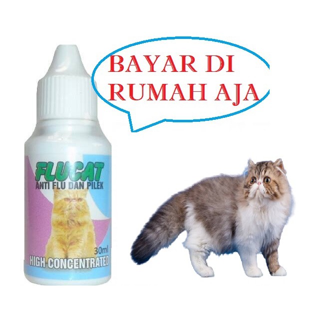 OBAT FLU KUCING MURAH FLUCAT SAKIT PILEK DEMAM BERSIN HIDUNG BERAIR AMPUH