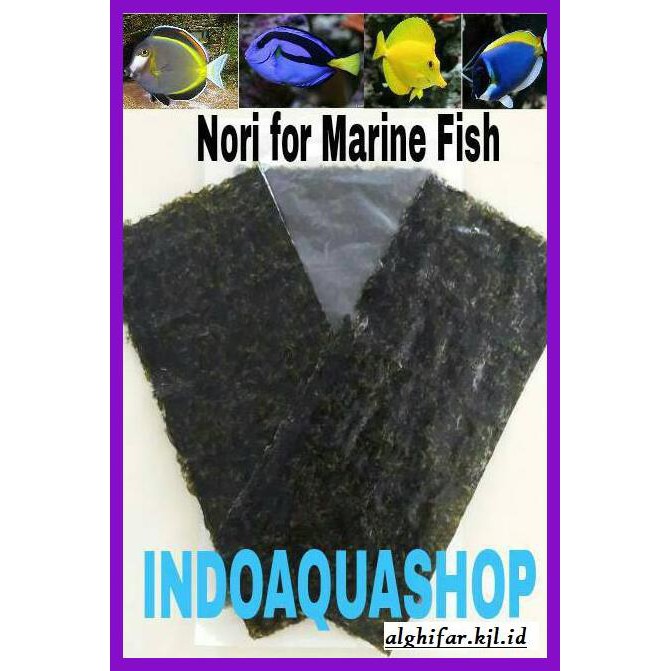 

Makanan-Kering- Nori - Marine Fish Food -Aneka.