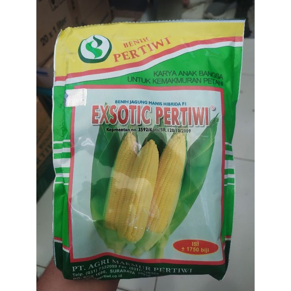 Jagung manis EXOTIC pertiwi (±1750 biji) f1