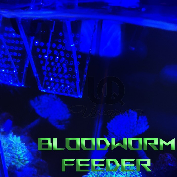 Bloodworm Feeder Acrylic - Tempat Makan Ikan Cacing Feeding Akrilik