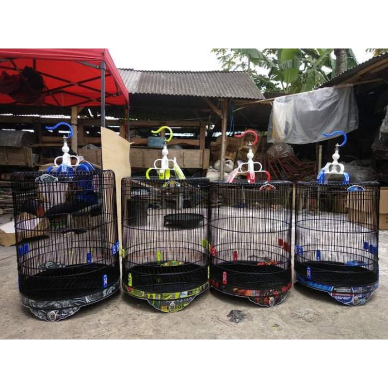 sangkar murai / kandang murai batu / sangkar bomber / murai batu / burung murai / sangkar decal / sa