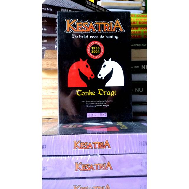 Kesatria: De brief voor de koning - Tonke Dragt
