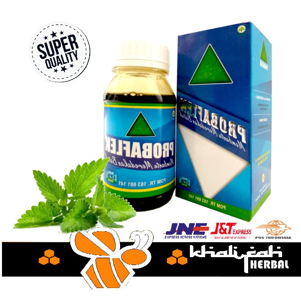 

Probaflek Memandu Maslah Batuk 175 Gr Original