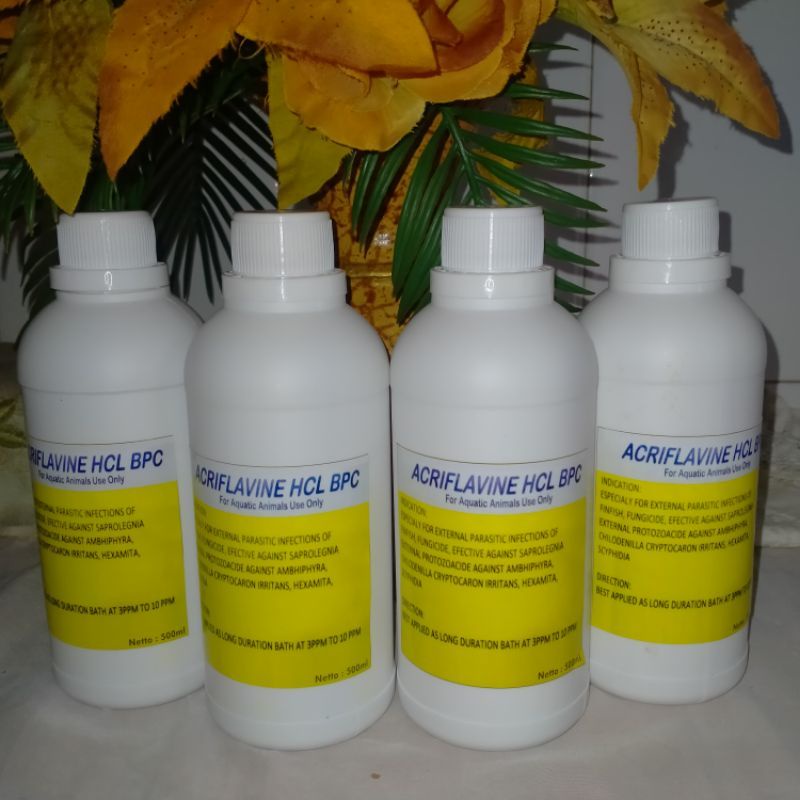 Acriflavine HCL 500ml // Obat Ikan Hias // Obat jamur//Obat Luka(untuk Cupang,Louhan,Arwana,ikan hia