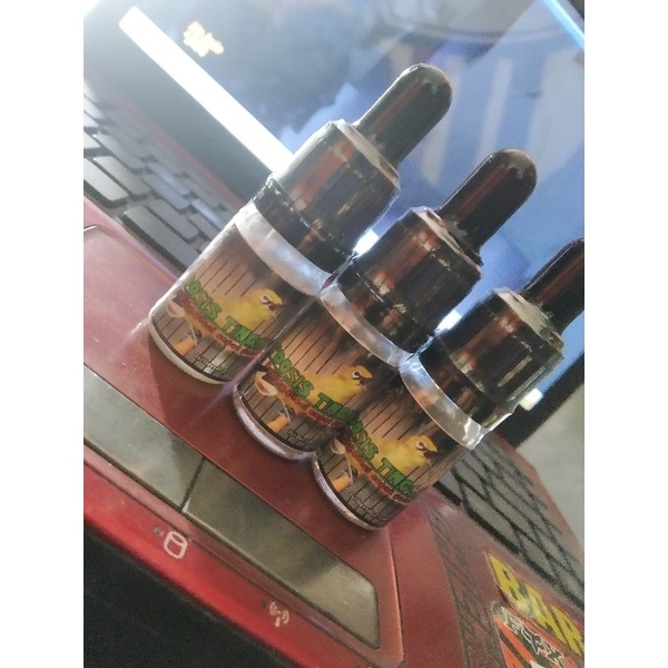 DOSIS TINGGI PLECI DOSTING PLECI