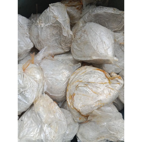 UMPAN KUCUR / UMPAN BAUNG / PALIT