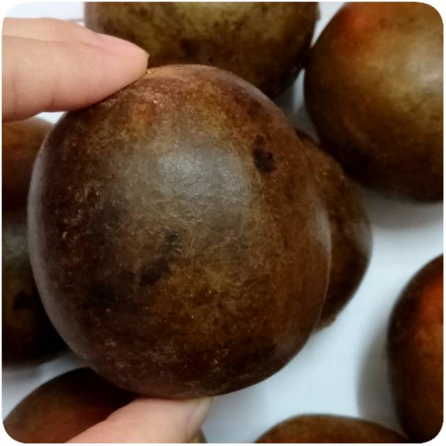 

Buah Luo Han Guo / Luo Han Ko - Untuk Radang Tenggorokan sakit