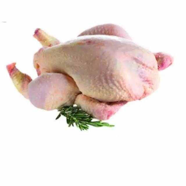 

Ayam negeri karkas broiler per ekor