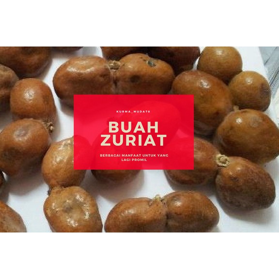 

BUAH ZURIAT 500gr
