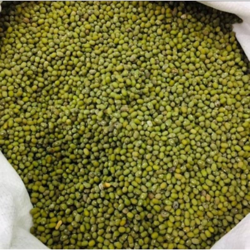 

Kacang hijau / kacang ijo - 1 kg