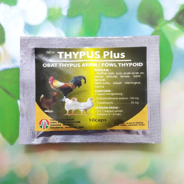 

Thypus Plus 10 caps Obat Anti Thypus Ayam Fowl Thypoid Typhoid Typhus Tifus Tifes Unggas